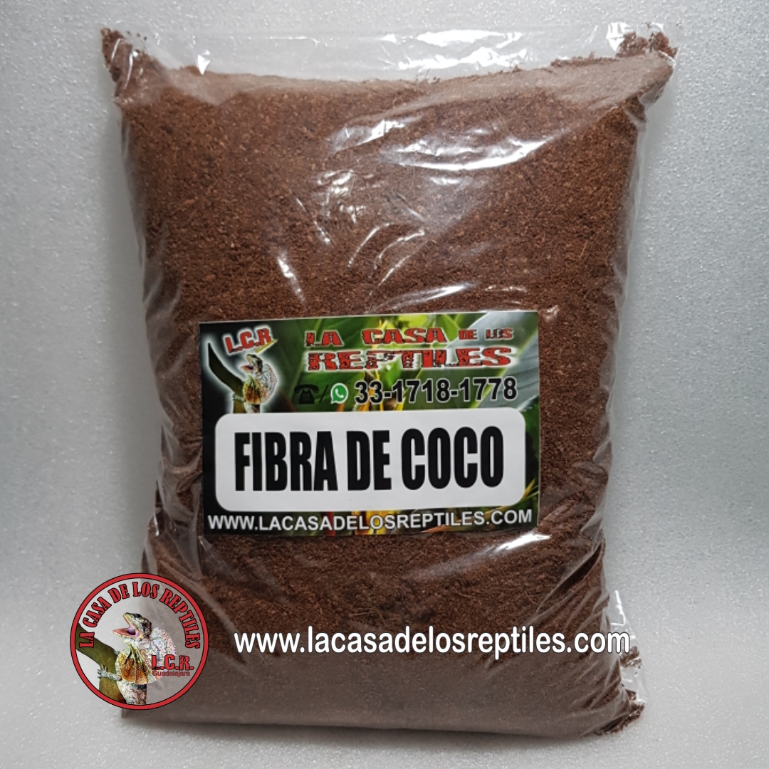 Sustratos y camas para reptiles