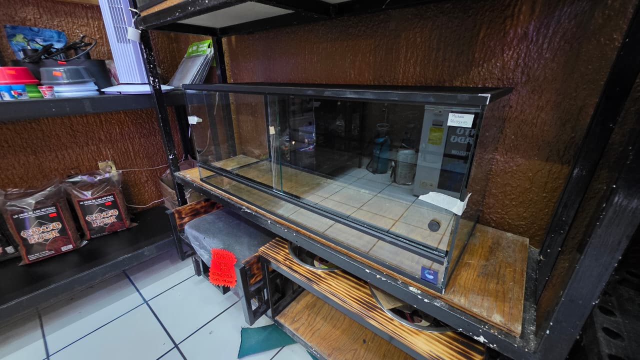Terrarios y contenedores para reptiles