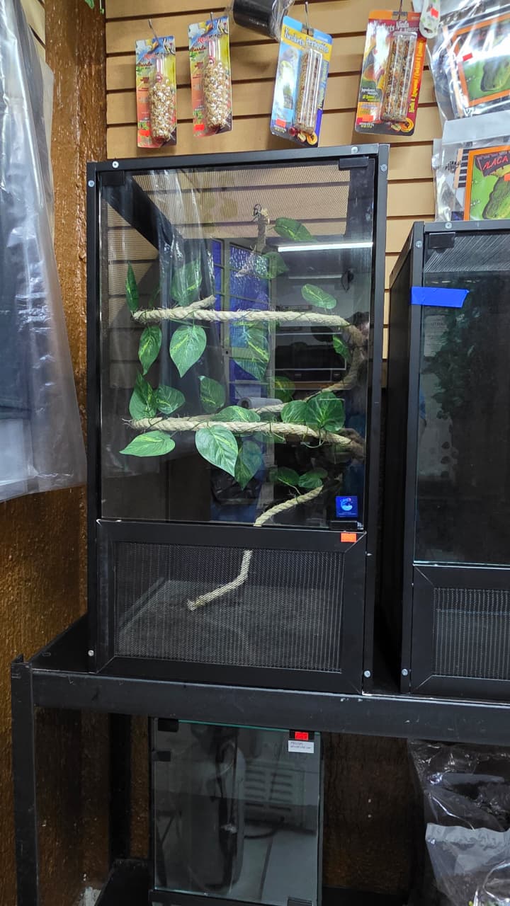 Terrarios y contenedores para reptiles