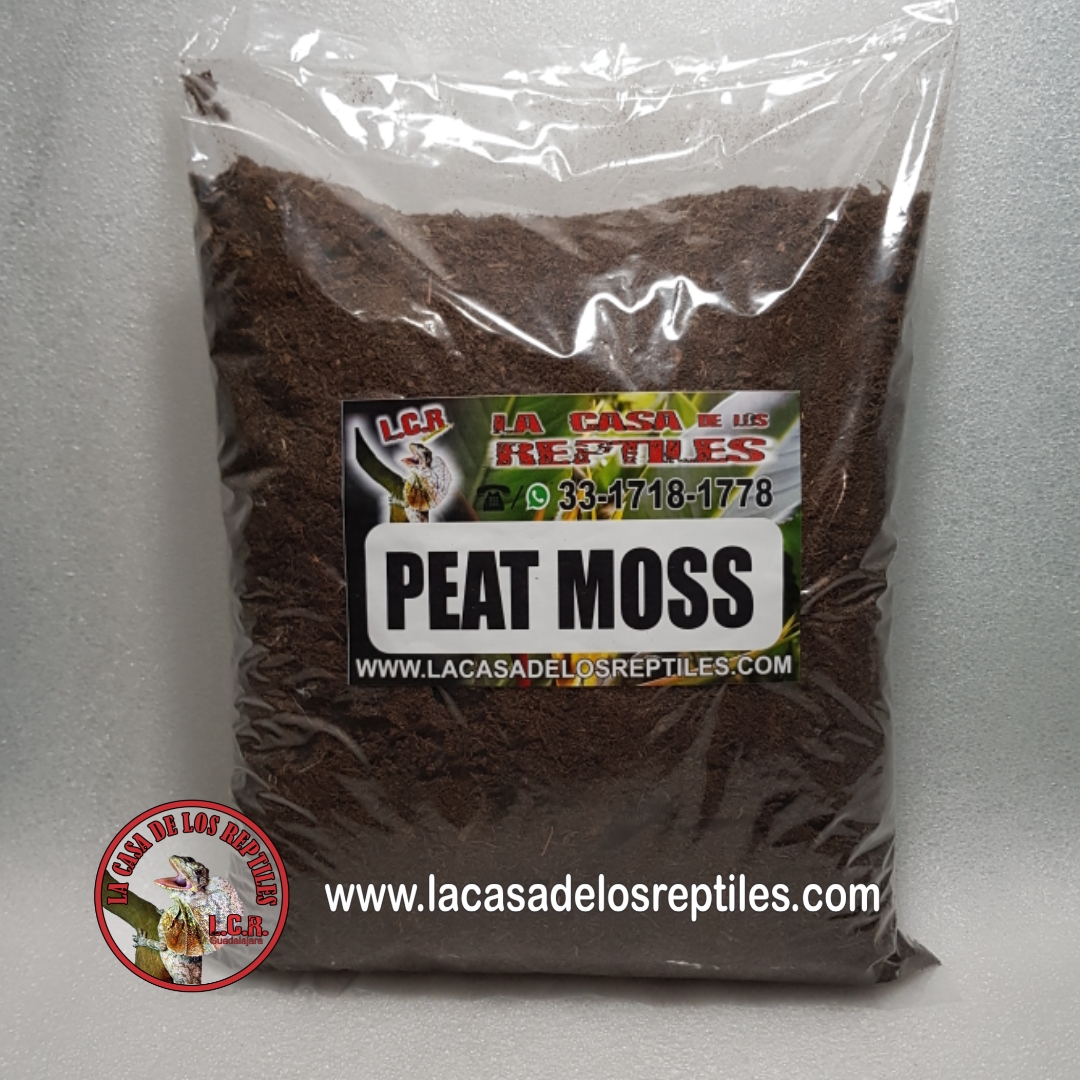 Sustratos y camas para reptiles