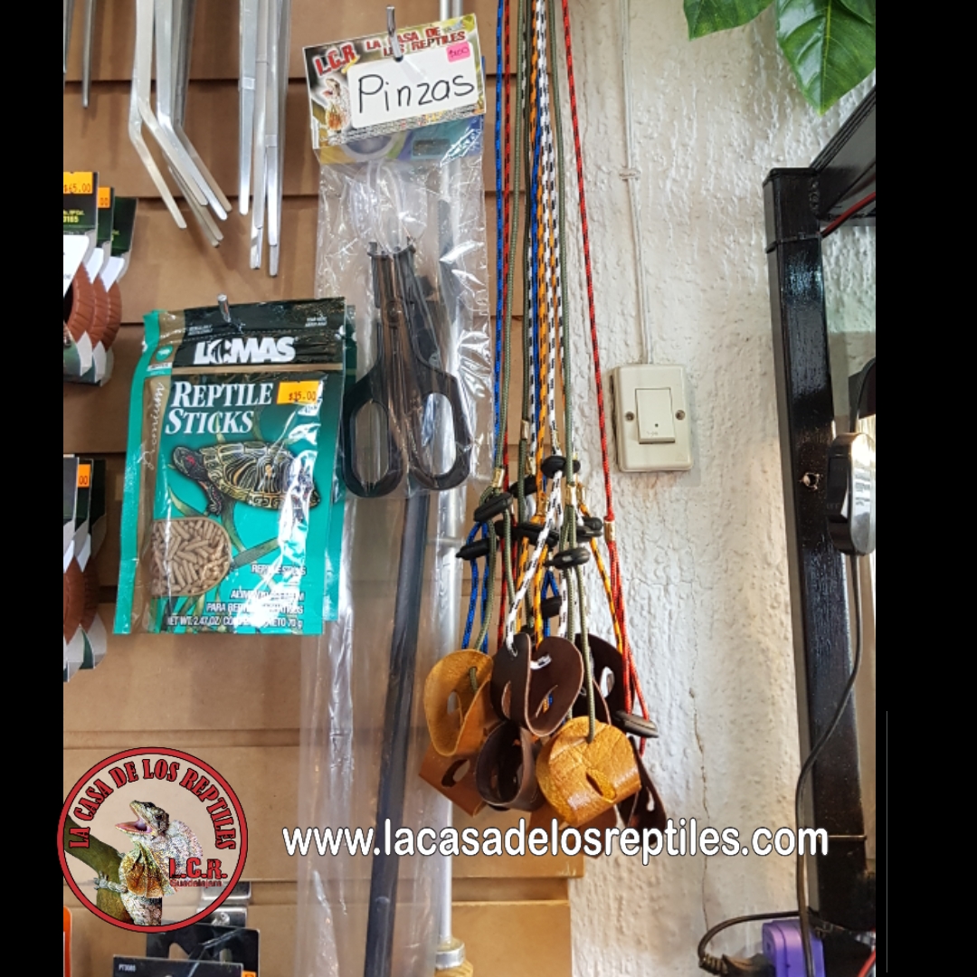 Accesorios variedad