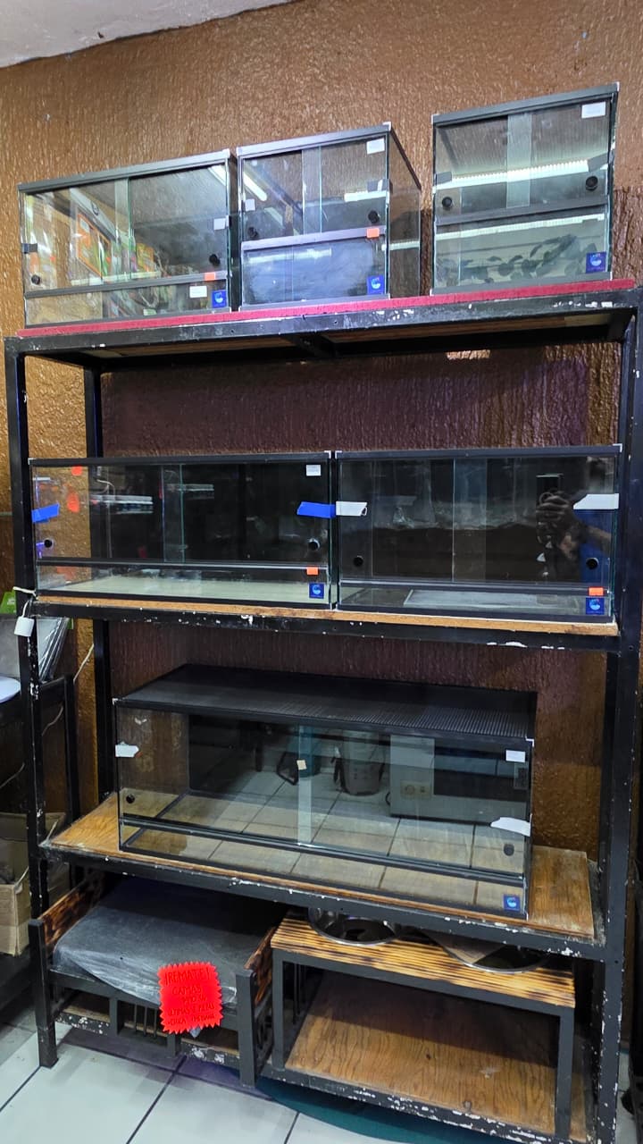 Terrarios y contenedores para reptiles