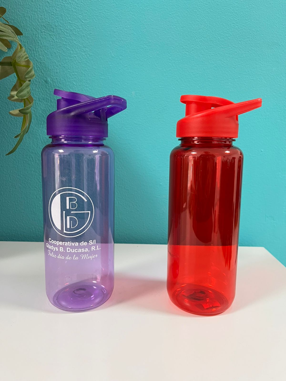 Botellas plásticas de colores