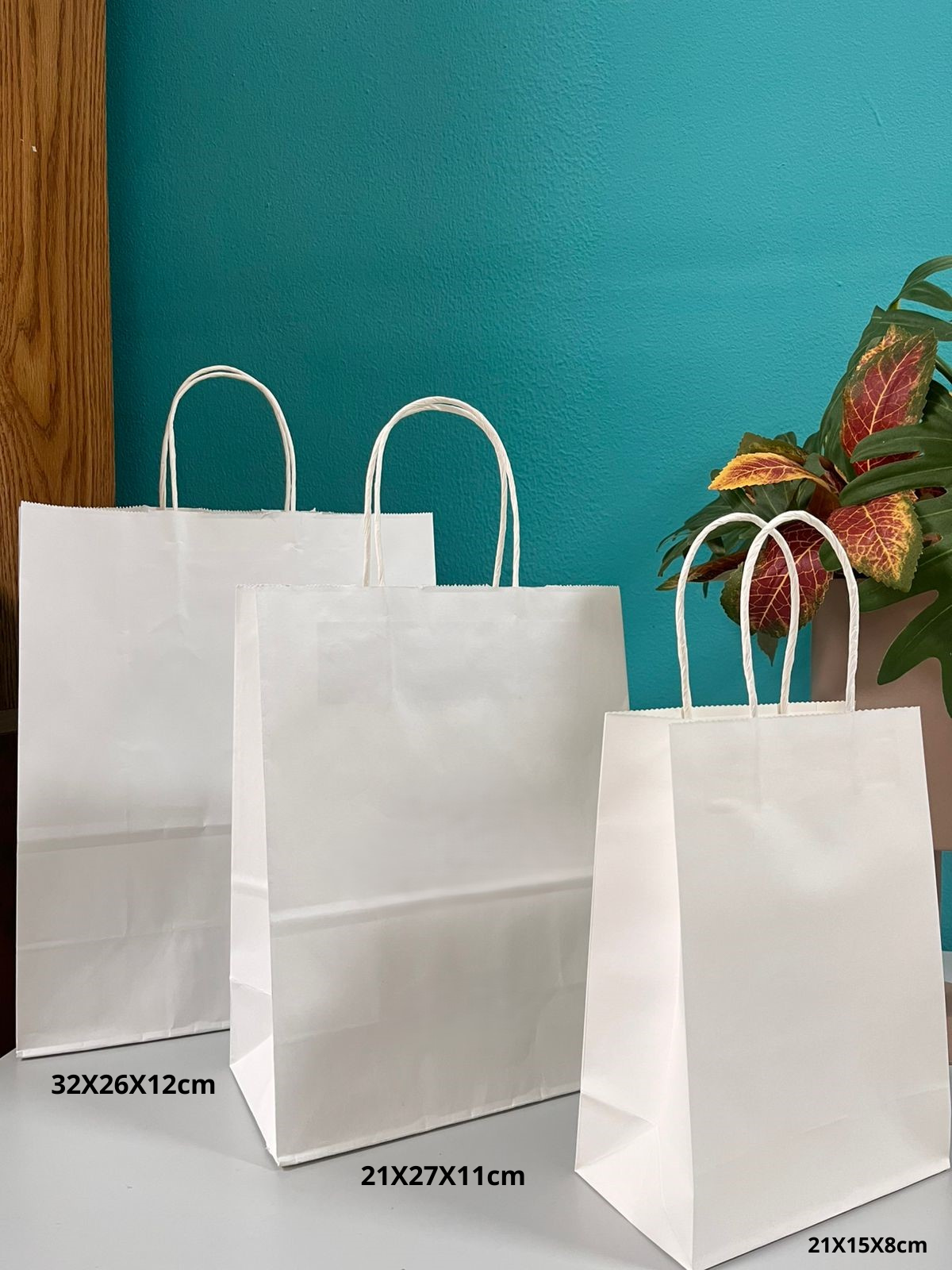 Bolsas de Papel Blanco