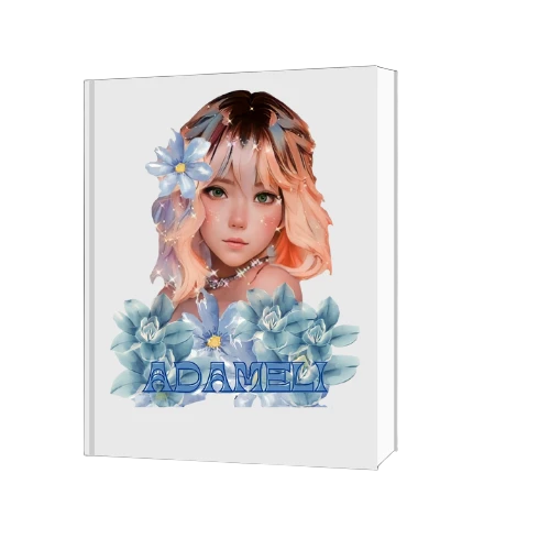 Libro Adamey