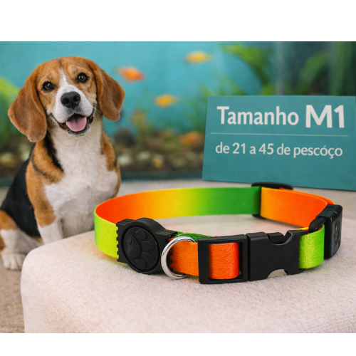Coleira Cachorro