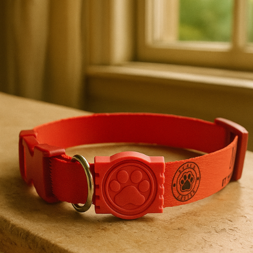 Coleira Cachorro