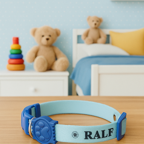 Coleira Cachorro