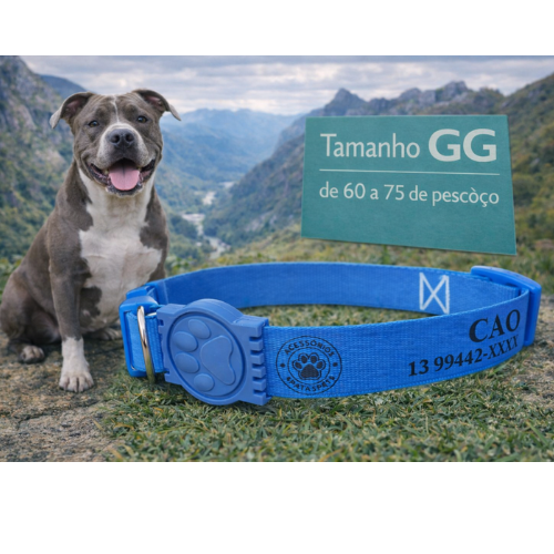 Coleira Cachorro