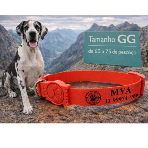 Coleira Cachorro