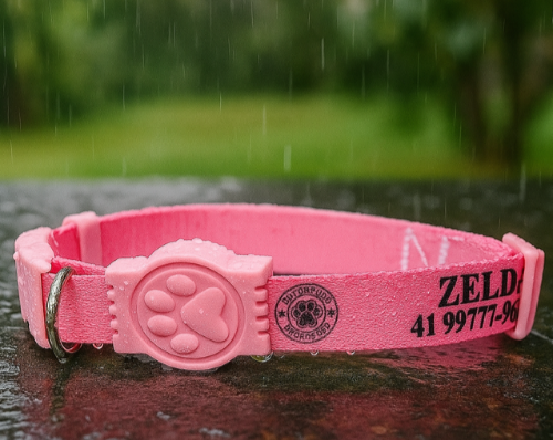 Coleira Cachorro
