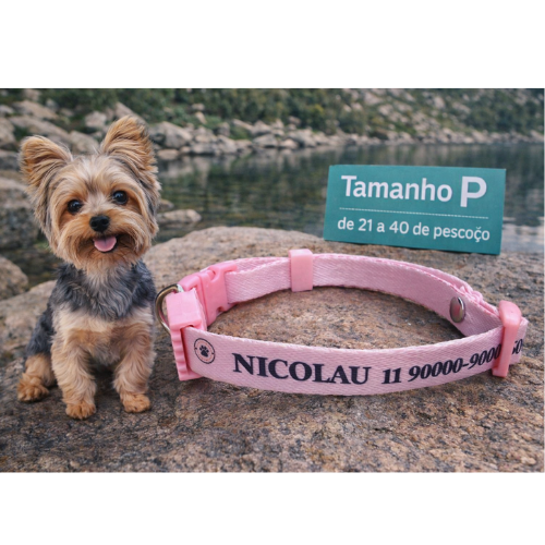 Coleira Cachorro