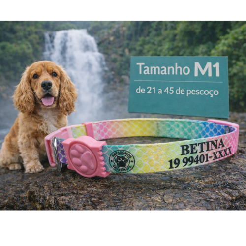 Coleira Cachorro