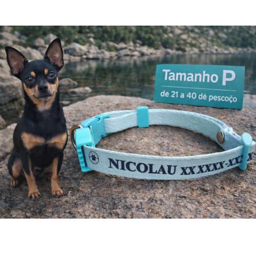 Coleira Cachorro