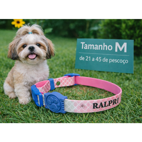 Coleira Cachorro