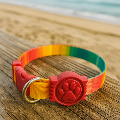 Coleira Cachorro 