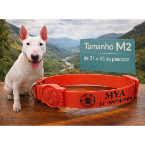 Coleira Cachorro
