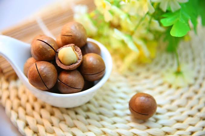 Macadamia Nuts-چابی والا اخروٹ