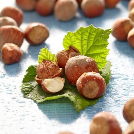 Hazelnut-فندق