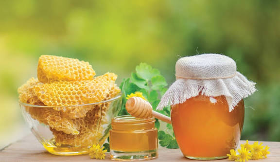 Jungli Honey (Organic)