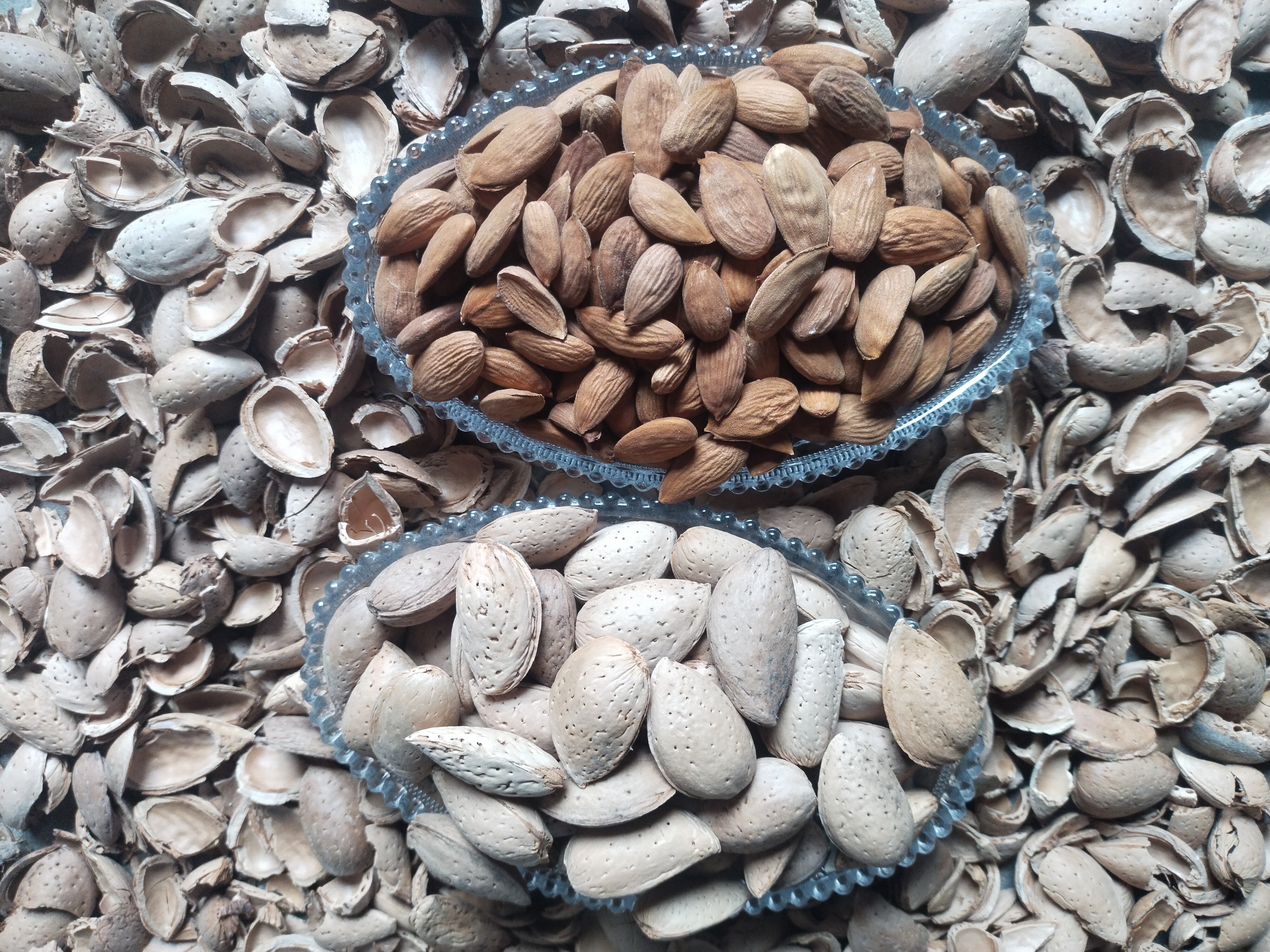 Raw Almonds - کاٹھا بادام