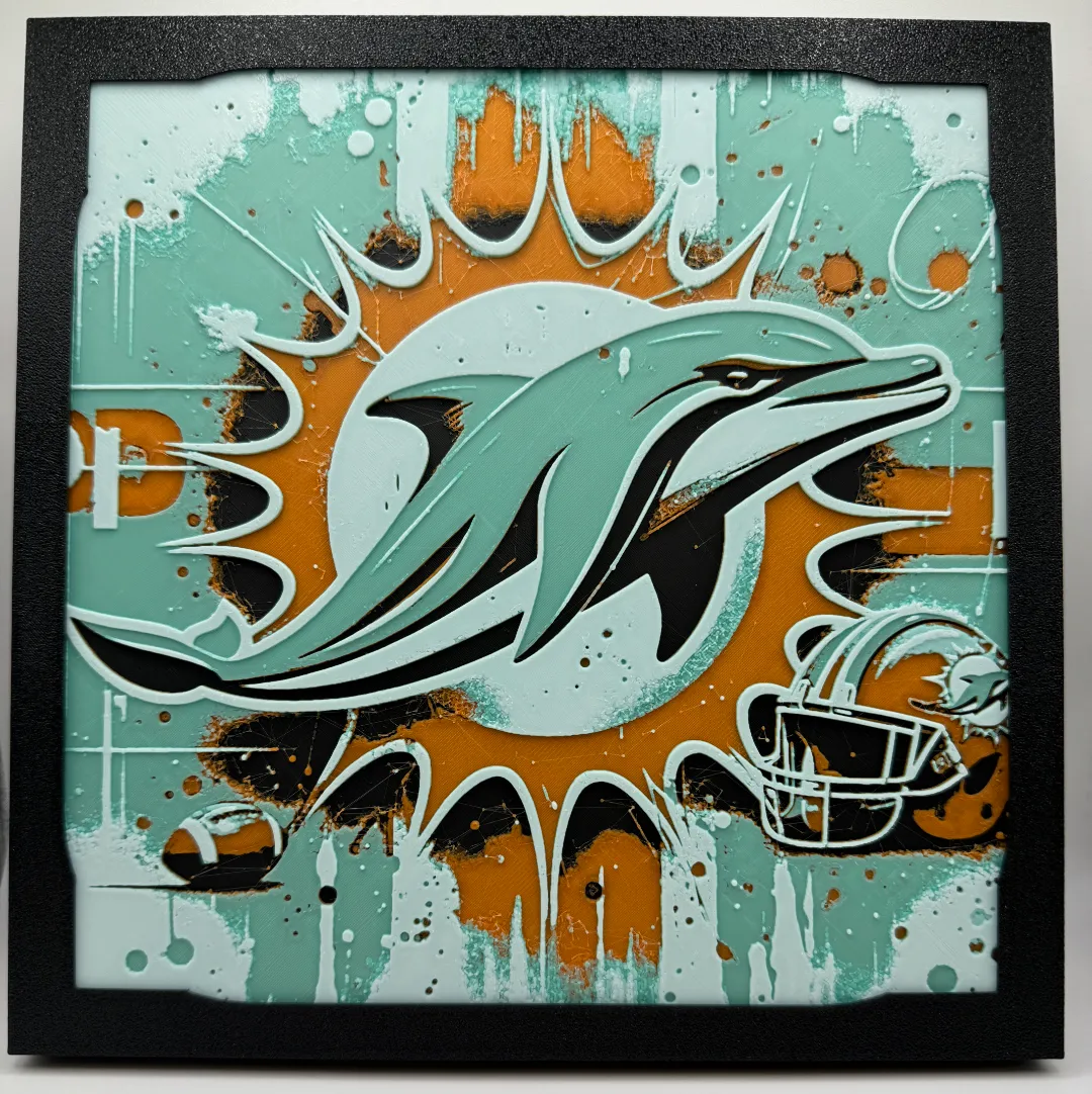 Miami Dolphins With Frame
