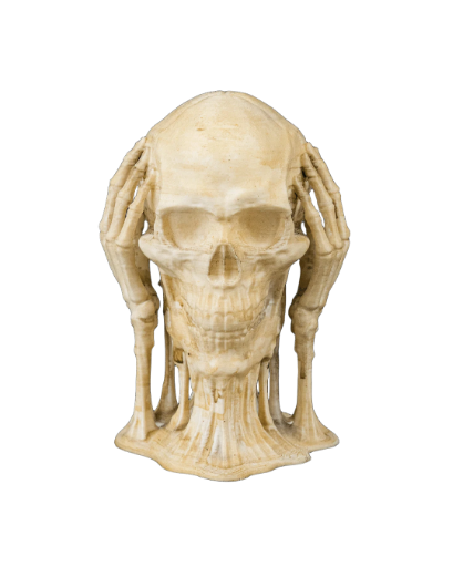 The Skulls of Wisdom: A Trio of Timeless Truths