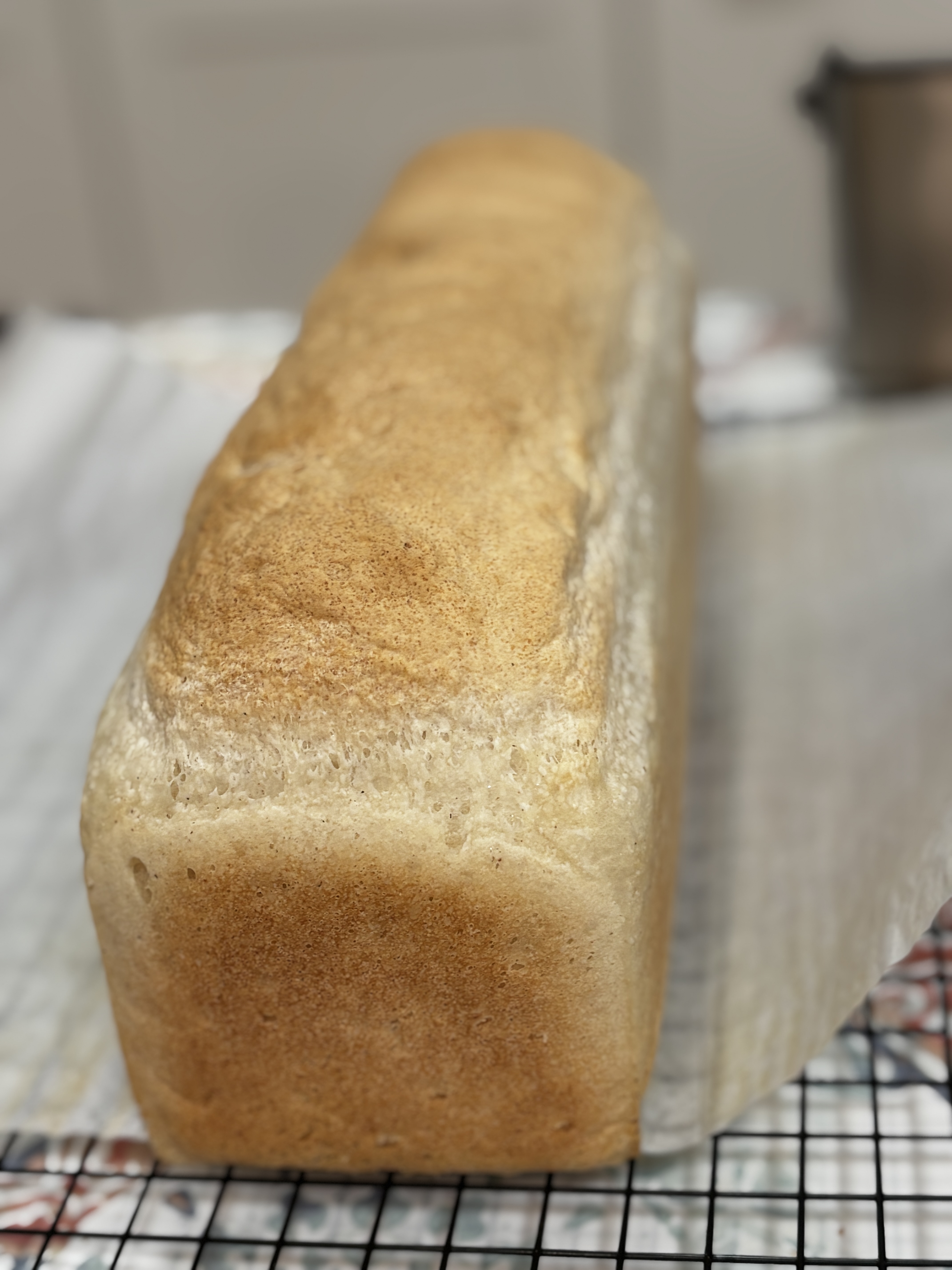 Homemade Gluten Free Vegan White Bread Loaf