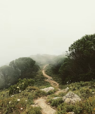 Navigating Change