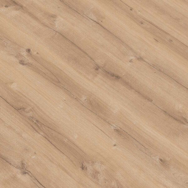 GOLD ESSENTIAL ROBLE MENPHIS