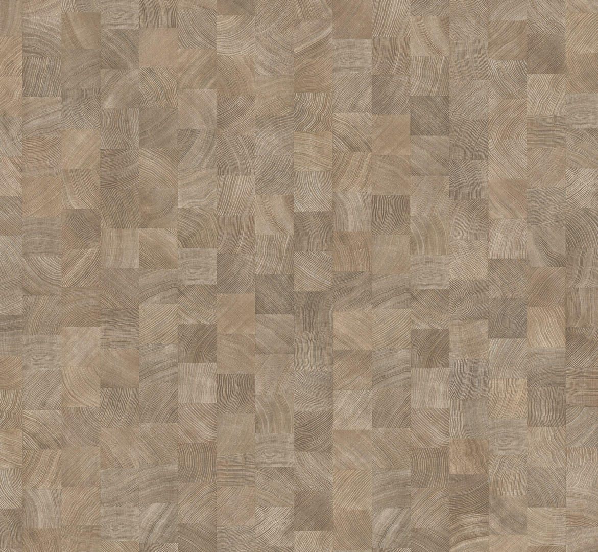 PARADOR BASIC 400 ROBLE CORTE TRANSVERSAL CALIZO