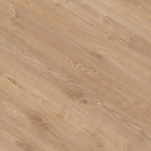 GOLD ESSENTIAL ROBLE CALIFORNIA