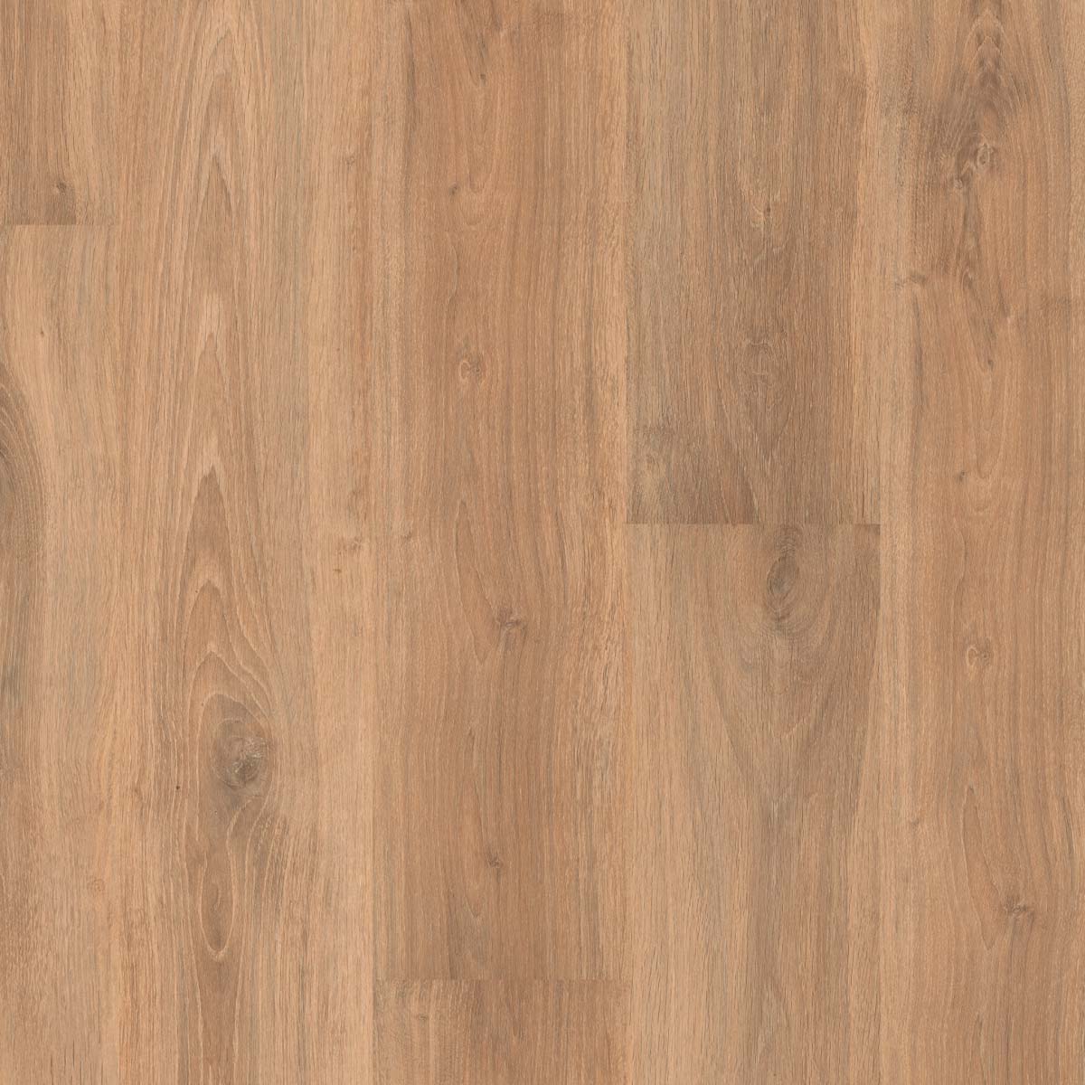 GOLD PRO 800 ROBLE OPALO