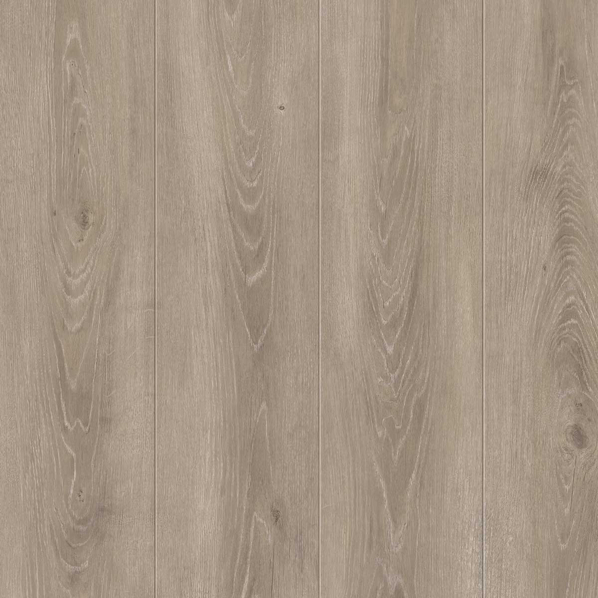 GOLD PRODIAMOND ROBLE CAZORLA