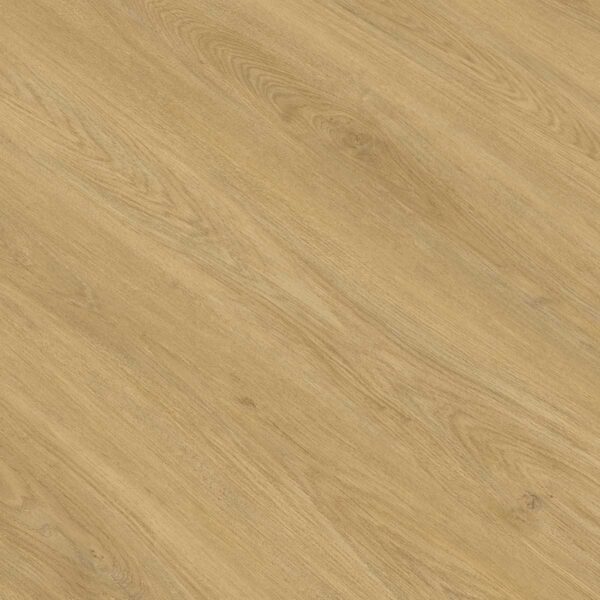 GOLD PRODIAMOND ROBLE TEIDE