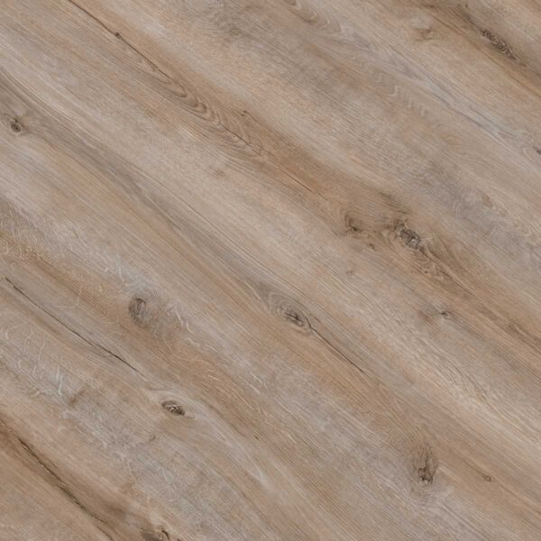 GOLD ESSENTIAL ROBLE FLORIDA