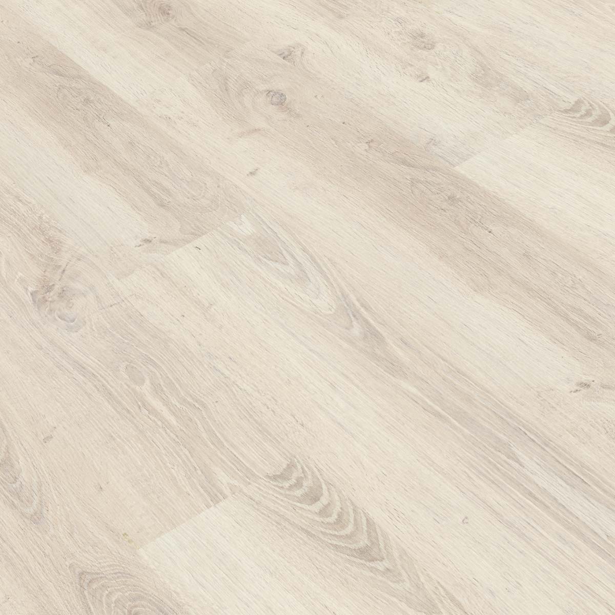 GOLD PRO 800 ROBLE TALCO