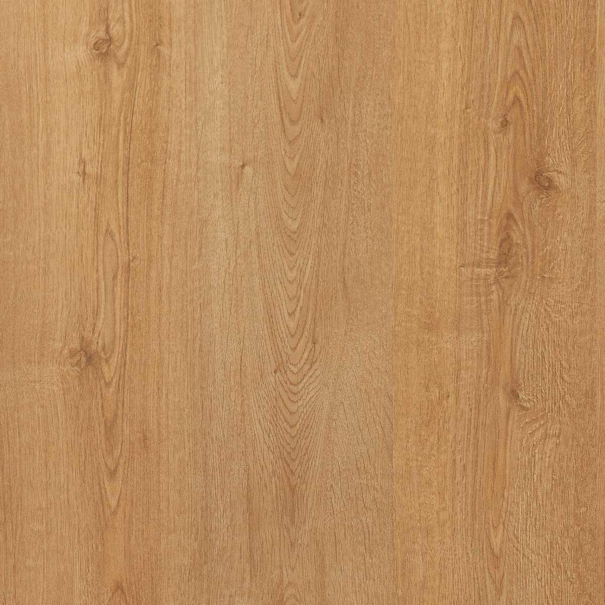 GOLD PRO 800 ROBLE BERILIO