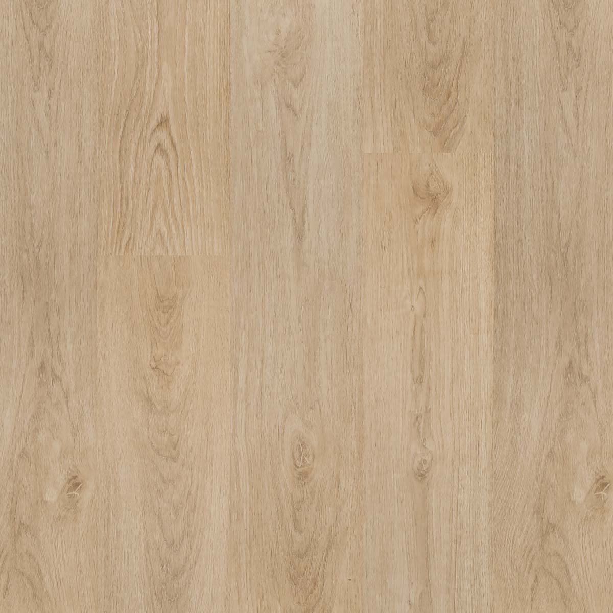 GOLD PRO 800 REAL ROBLE ANNECY