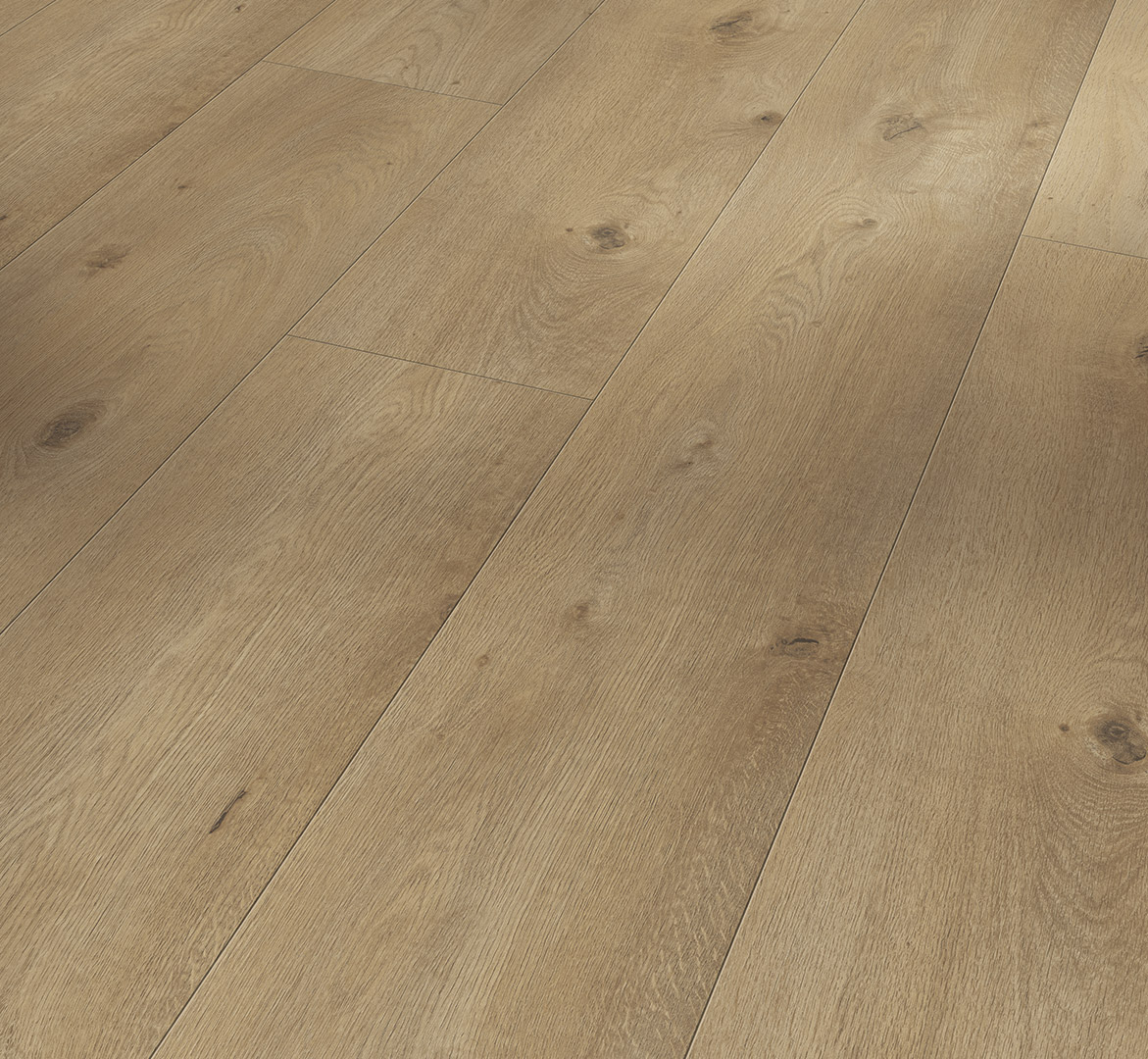 PARADOR TRENDTIME 6 ROBLE EVERGLADE NATUR