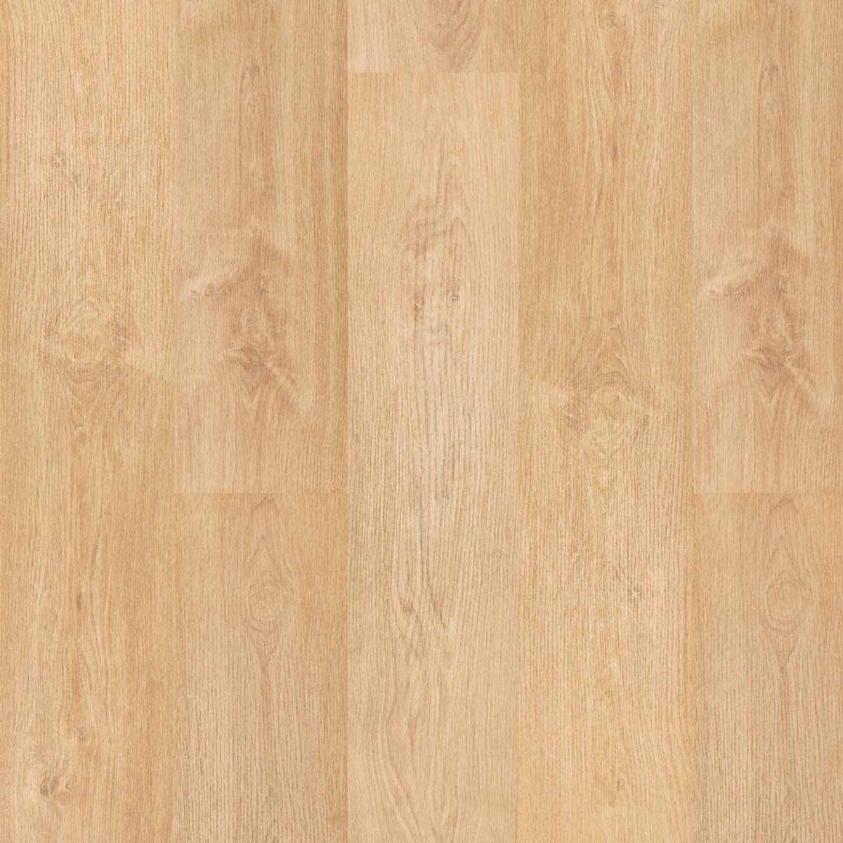 GOLD PRO 800 ROBLE AZUFRE