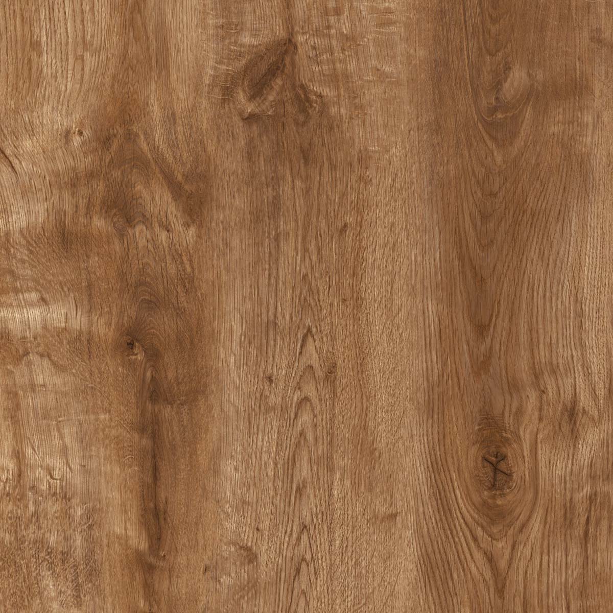 GOLD ESSENTIAL ROBLE ARIZONA