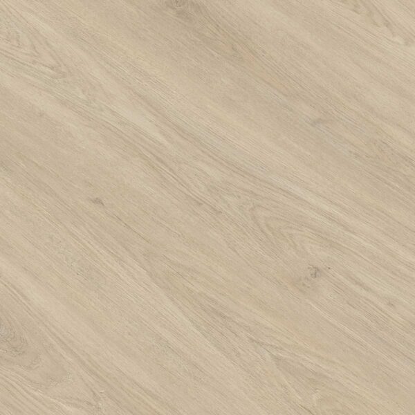 GOLD PRODIAMOND ROBLE CAUCASO