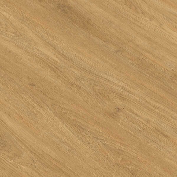 GOLD PRODIAMOND ROBLE DOÑANA