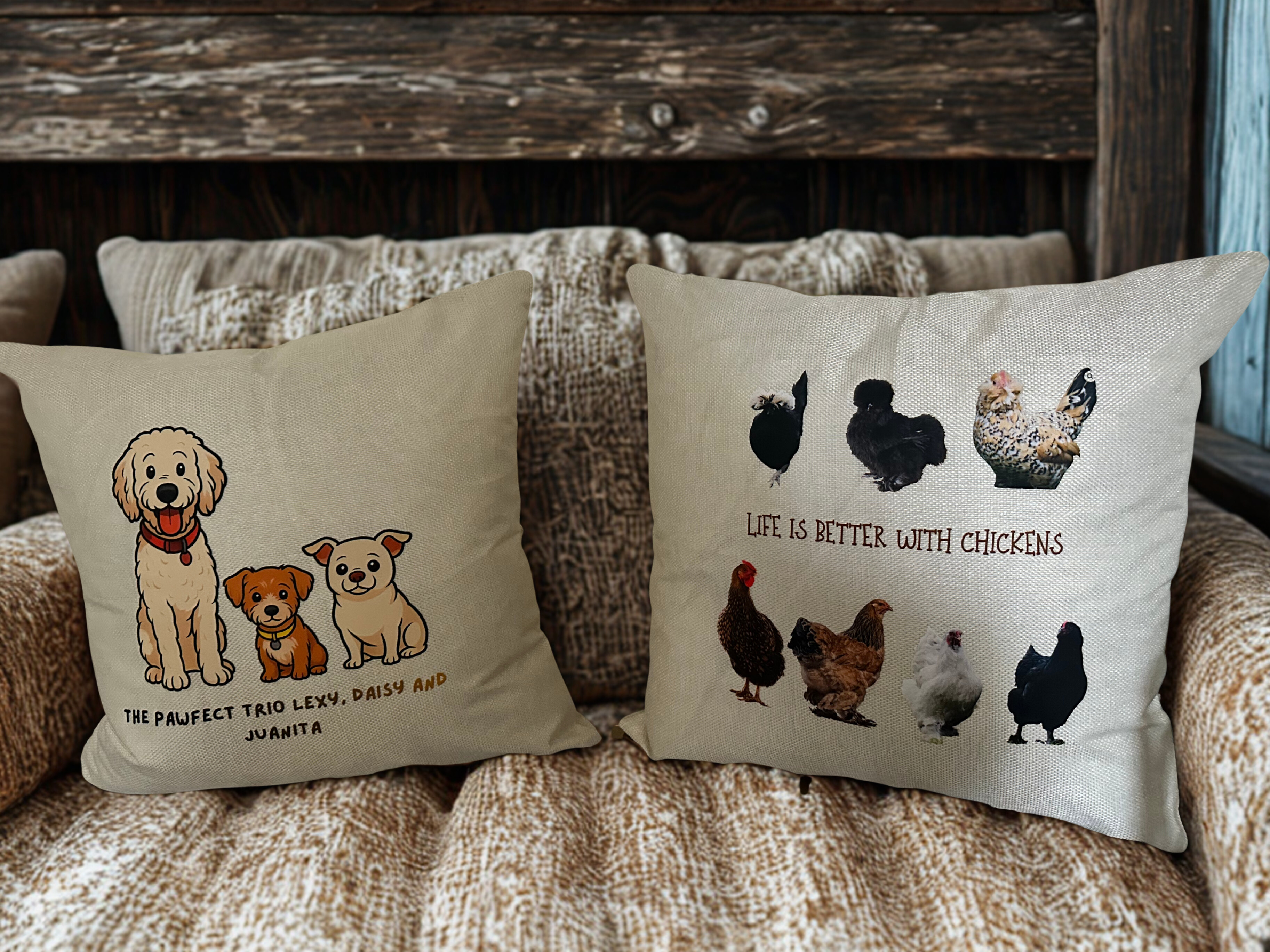 Decorative Throw Pillow Set