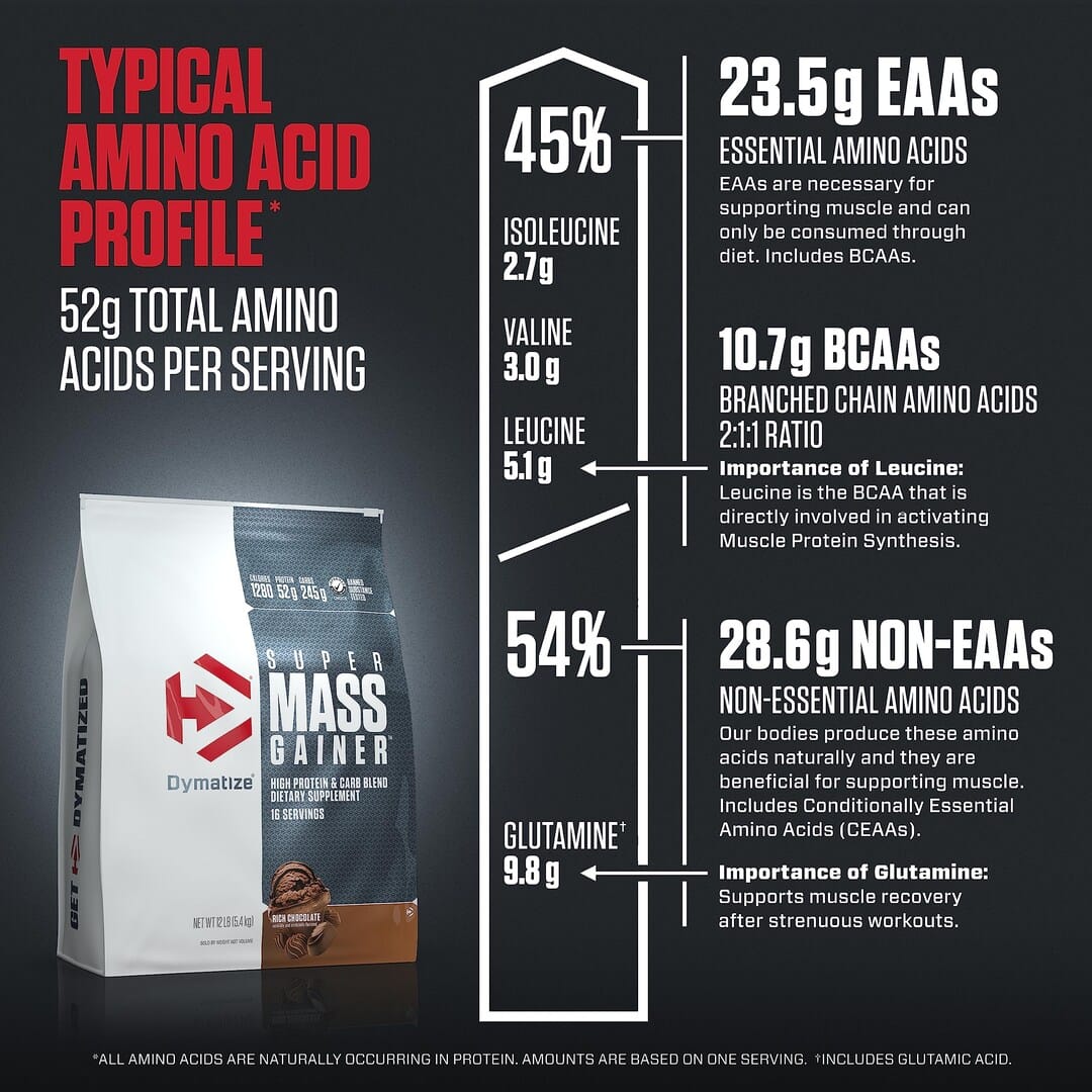 Proteína en Polvo Dymatize Super Mass Gainer