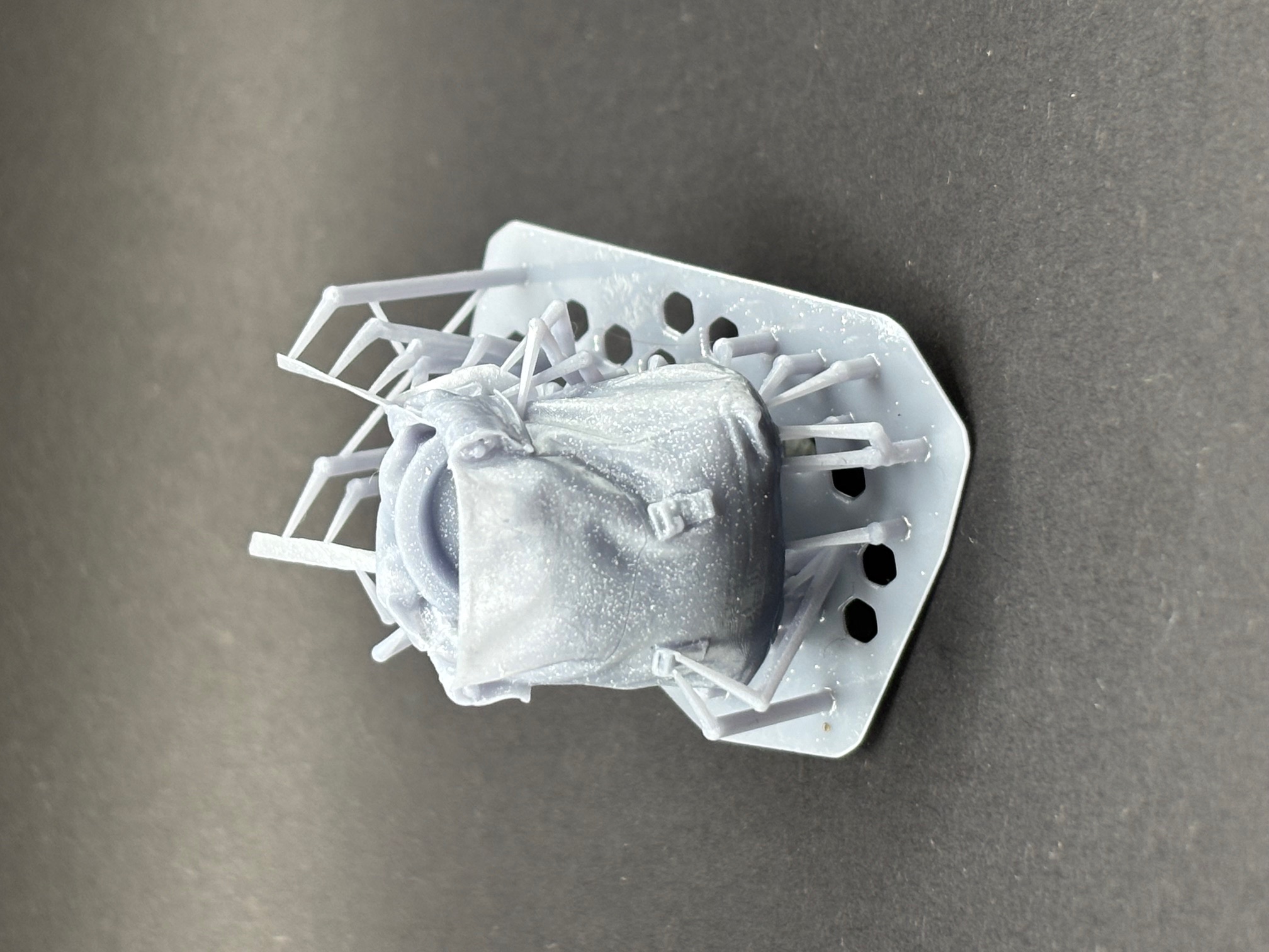 37 Pattern rucksack Hanging Open showing contents