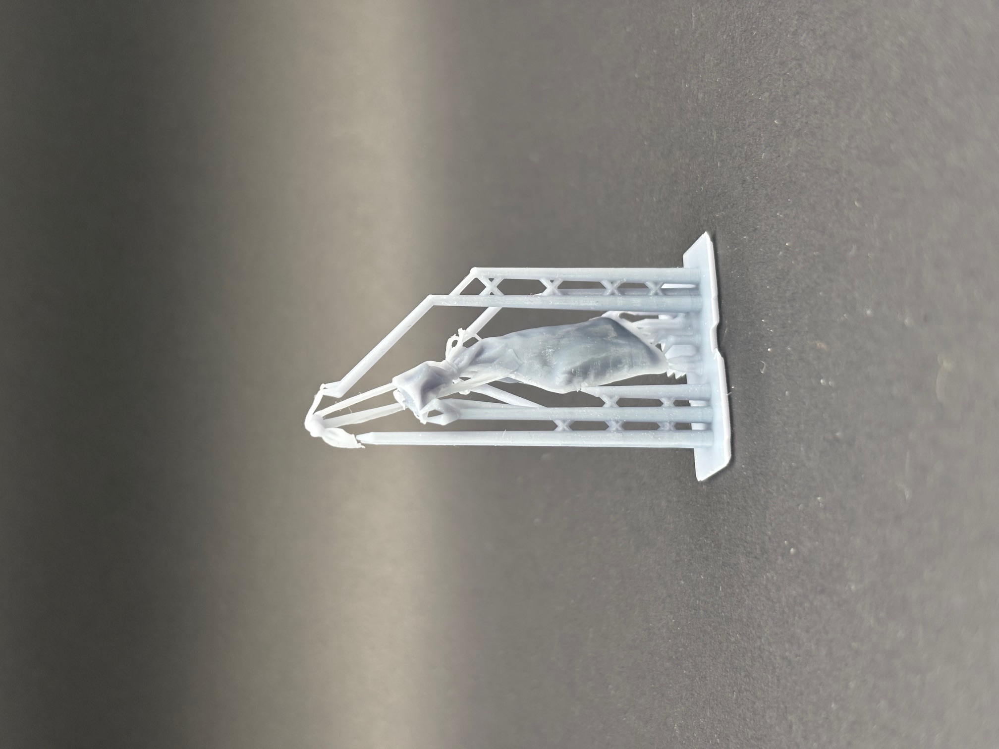 Chagul Water Carrier