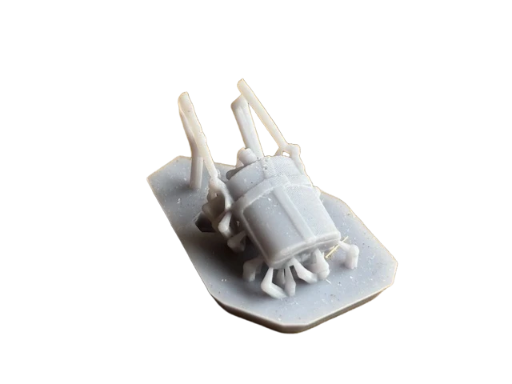 Water Bottle in cradle carrier