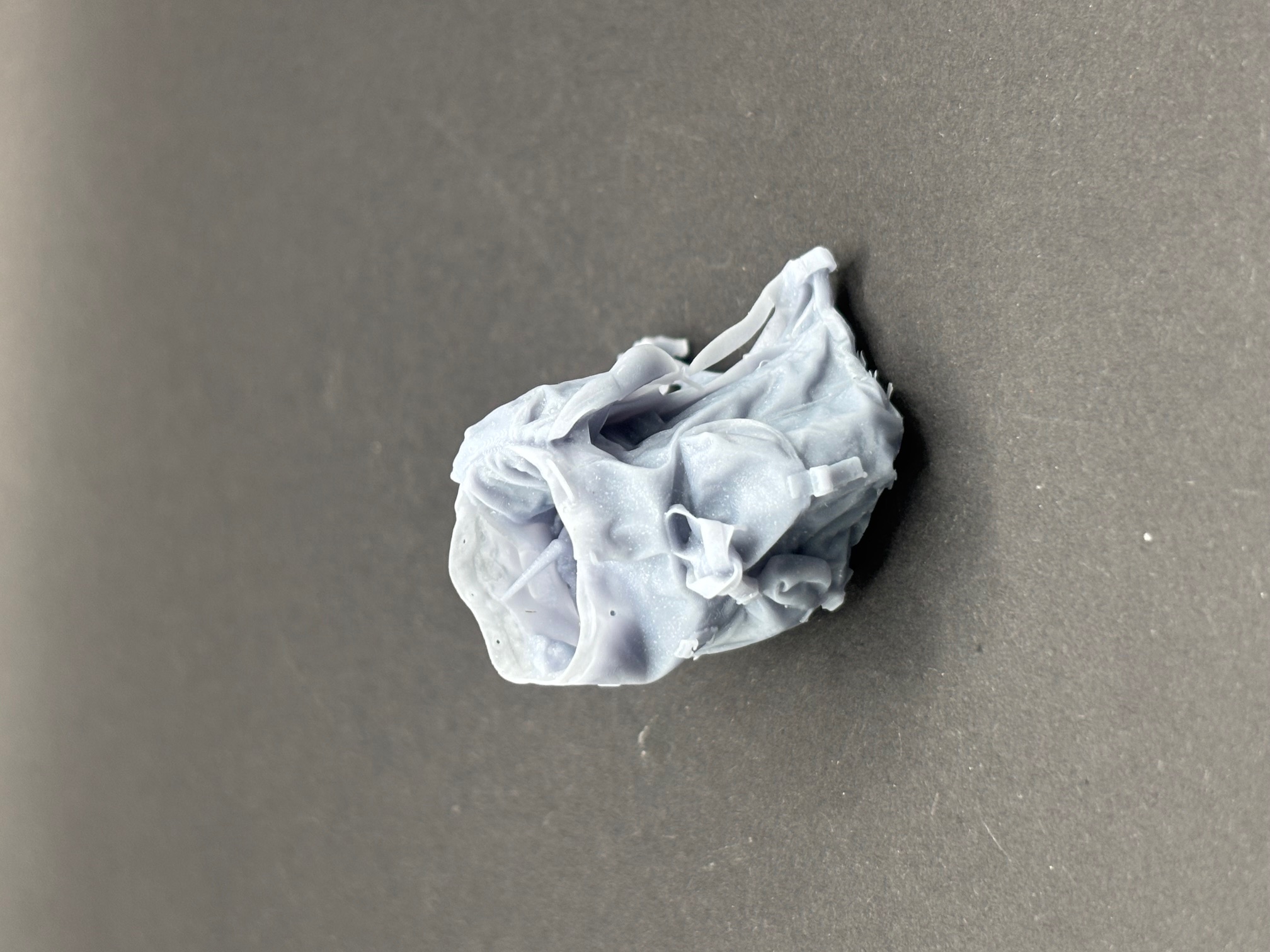 British Bergen open, resting on ground